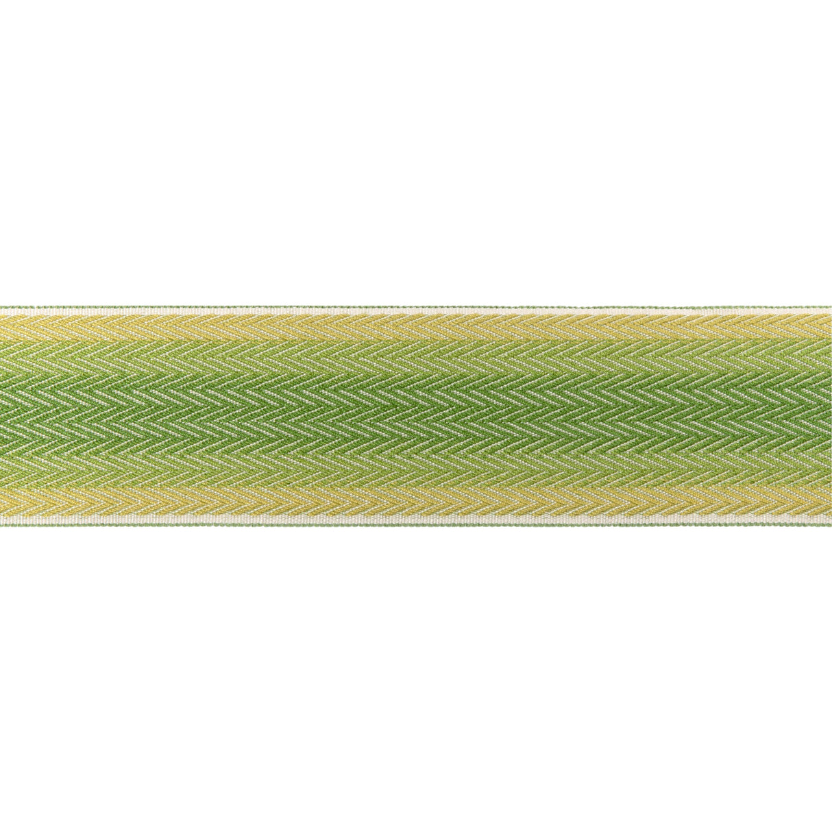 Brunschwig & Fils BARFLEUR TAPE LEAF Trim