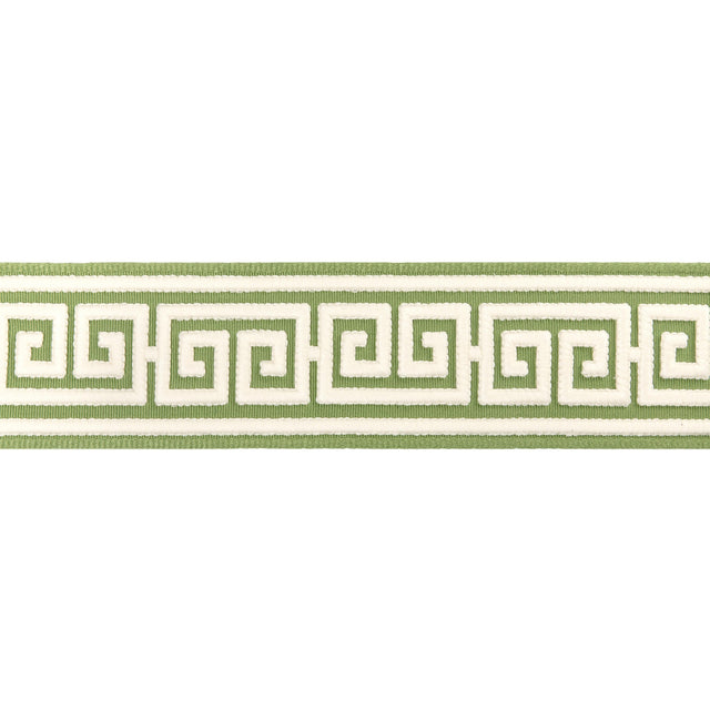 Brunschwig & Fils PAROS TAPE LEAF Trim