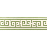 Brunschwig & Fils PAROS TAPE LEAF Trim