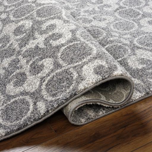 Surya Pembridge PBG-1000 3'11" x 5'7" Rug