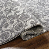 Surya Pembridge PBG-1000 3'11" x 5'7" Rug