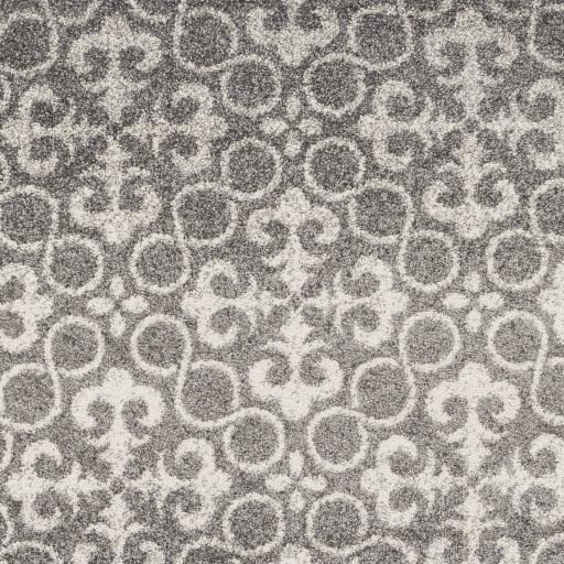 Surya Pembridge PBG-1000 3'11" x 5'7" Rug