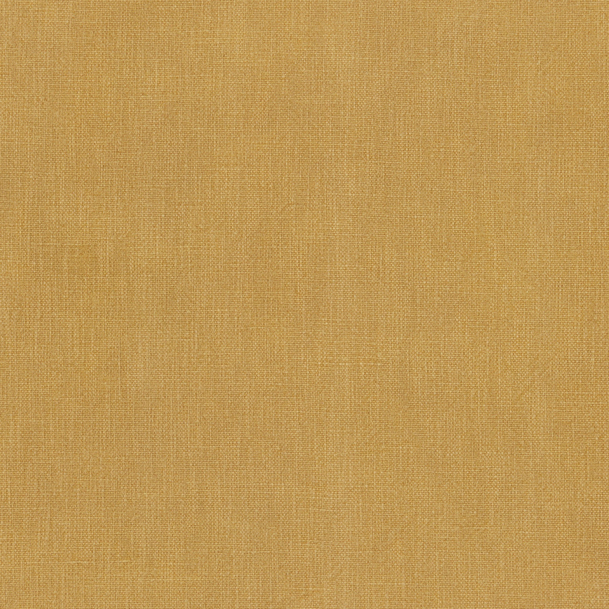 Kravet VERO HONEY Upholstery Fabric