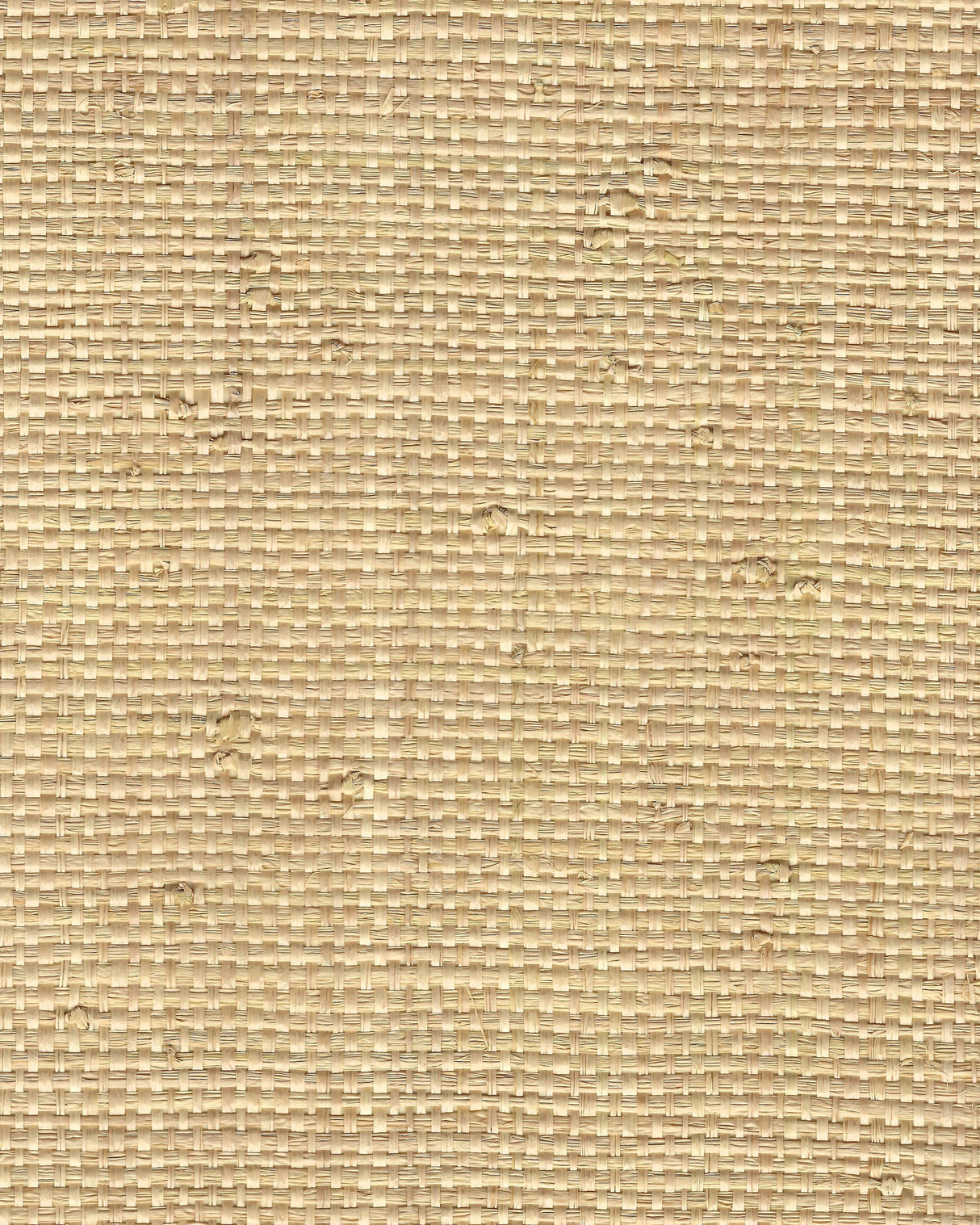 Winfield Thybony KIKO WEAVE NATURAL Wallpaper