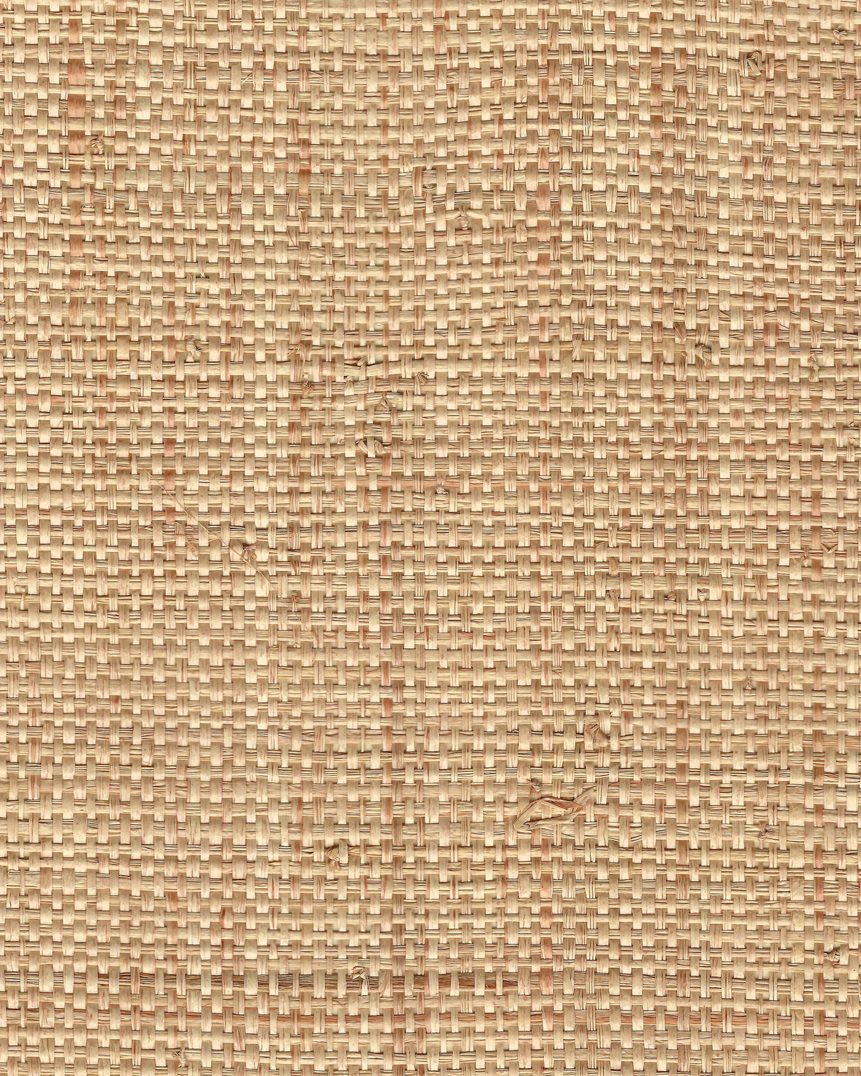 Winfield Thybony KIKO WEAVE MANILLA Wallpaper