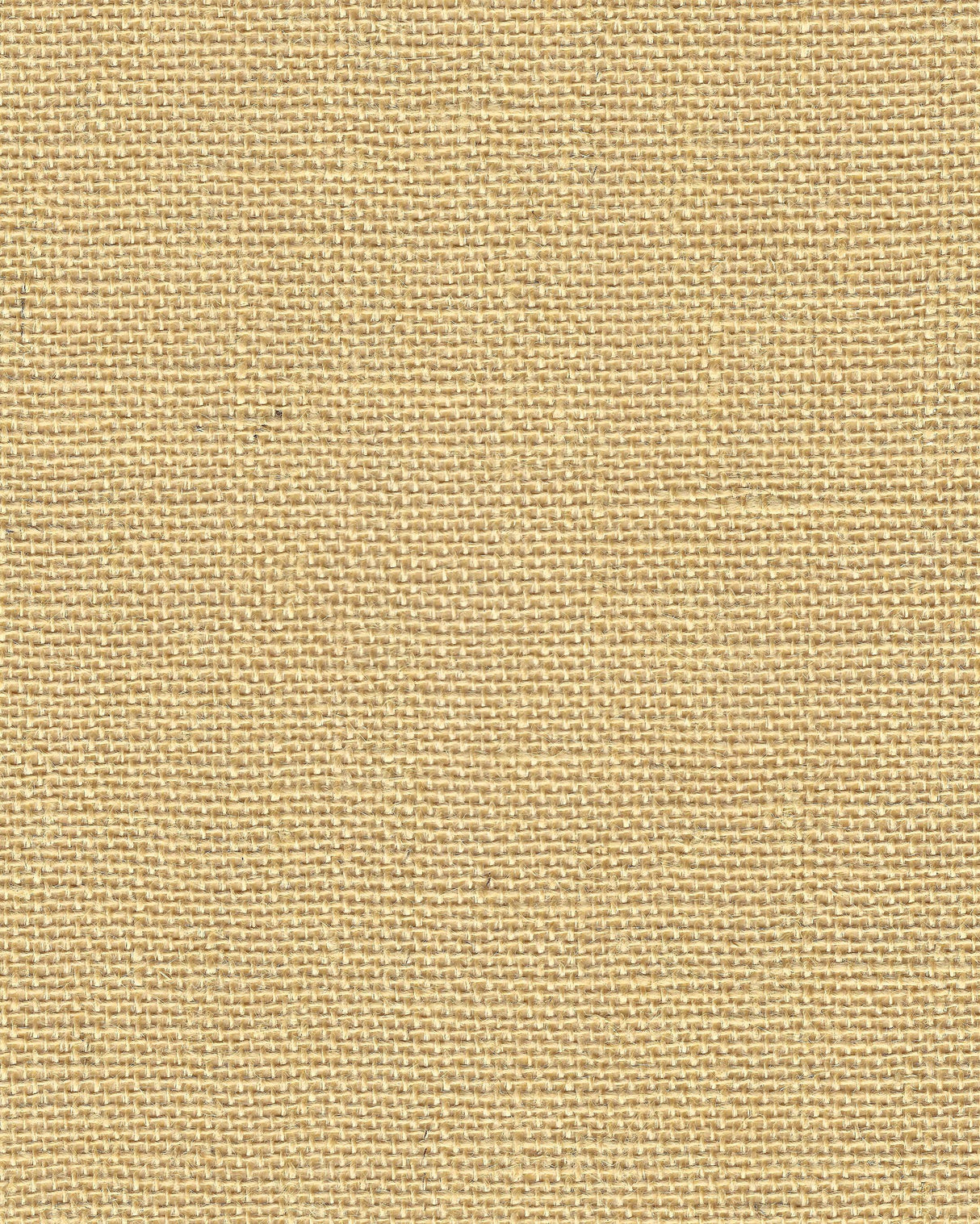 Winfield Thybony JUNIPER BURLAP NATURAL Wallpaper