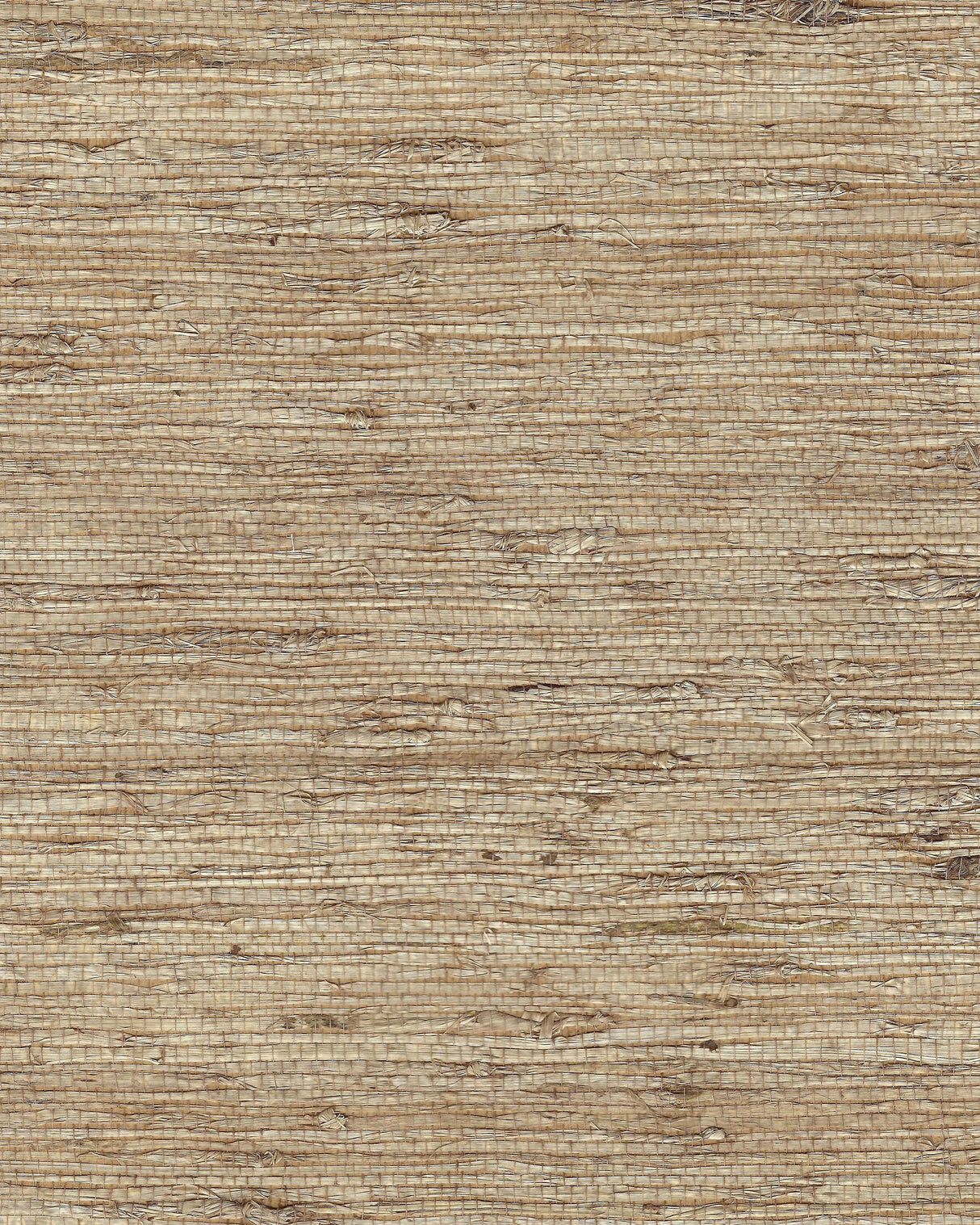 Winfield Thybony GENKO LATTE Wallpaper