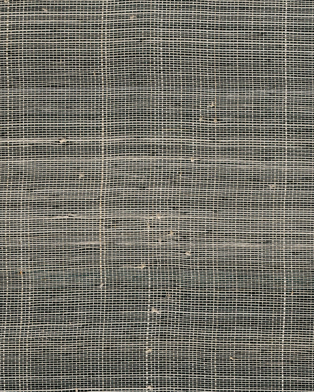 Winfield Thybony SARASHI WEAVE SMOKE Wallpaper