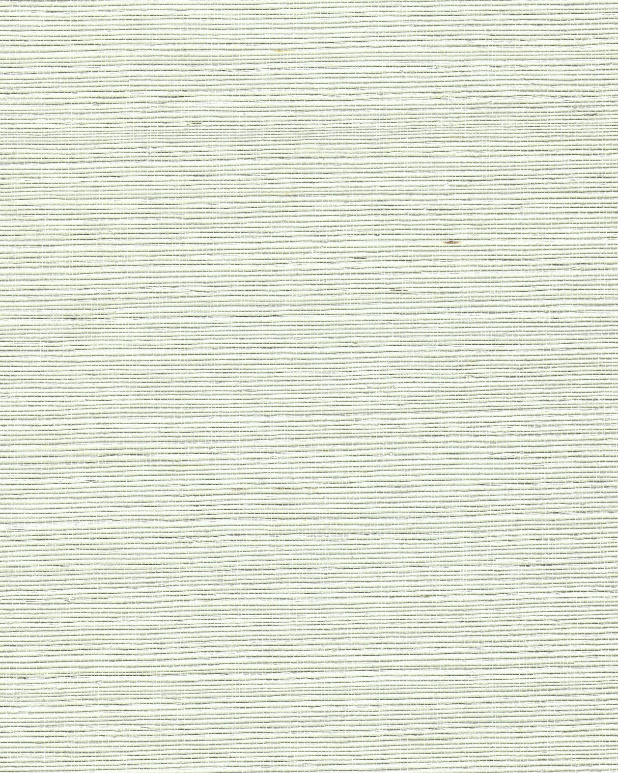 Winfield Thybony CHIYO SISAL HINT OF GREEN Wallpaper