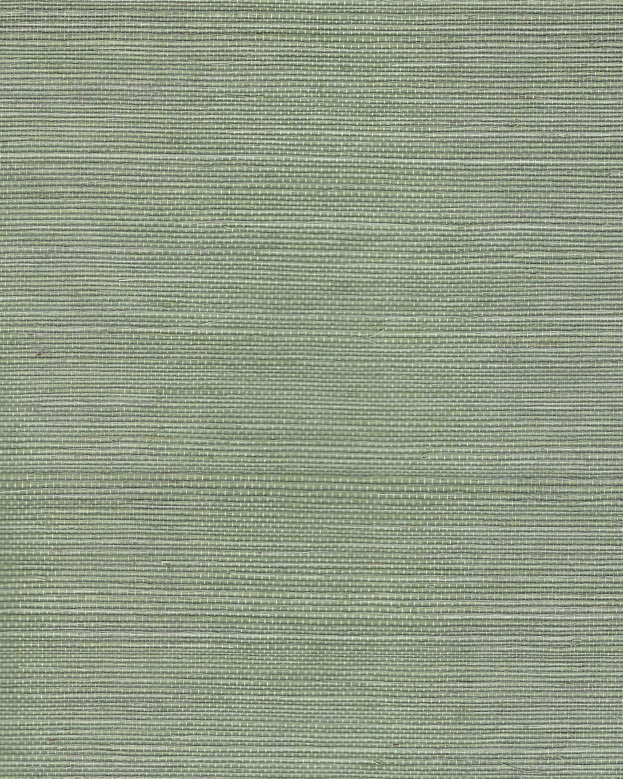 Winfield Thybony CHIYO SISAL SPRIG Wallpaper
