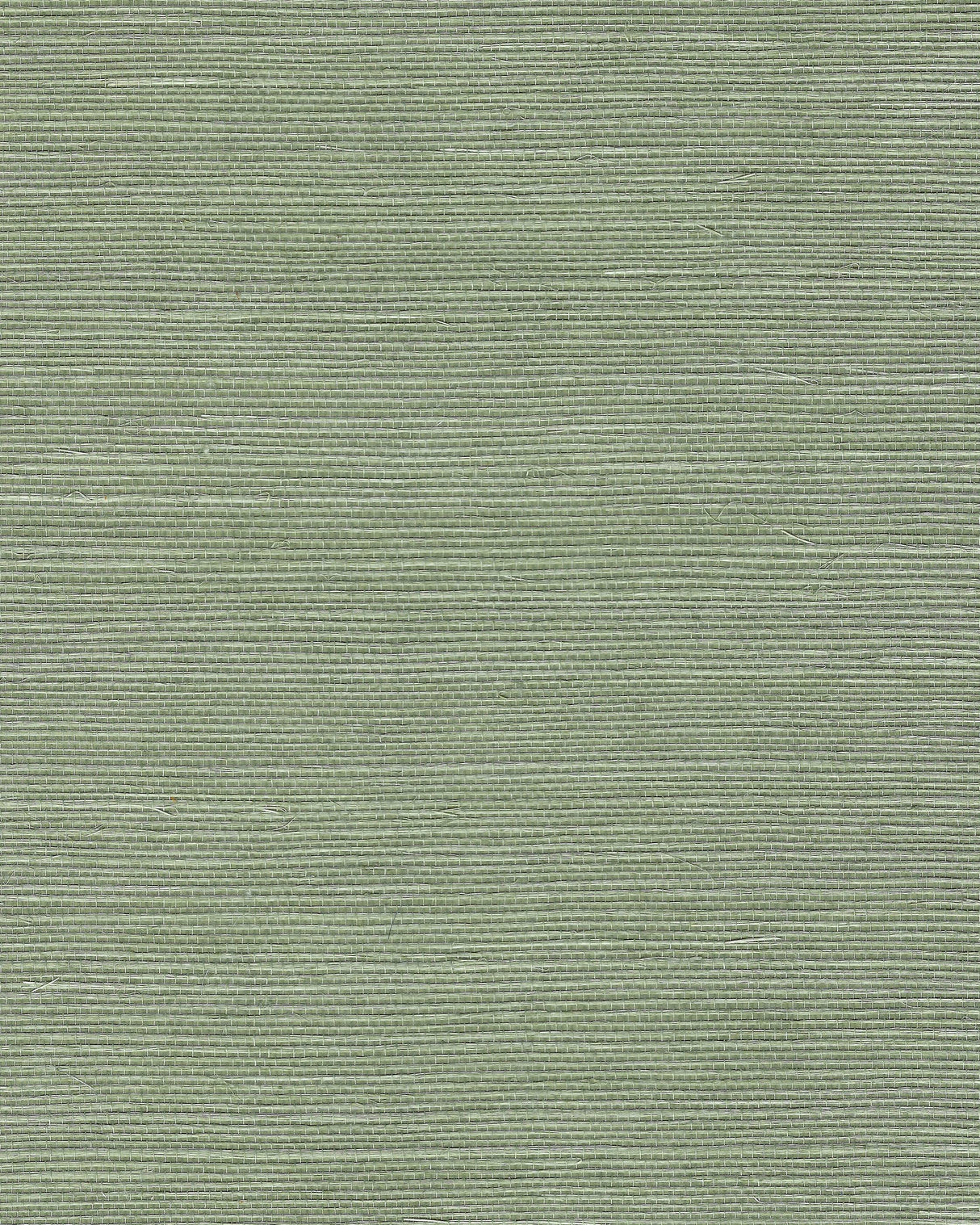 Winfield Thybony CHIYO SISAL SAGE Wallpaper