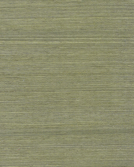 Winfield Thybony CHIYO SISAL MOSS Wallpaper