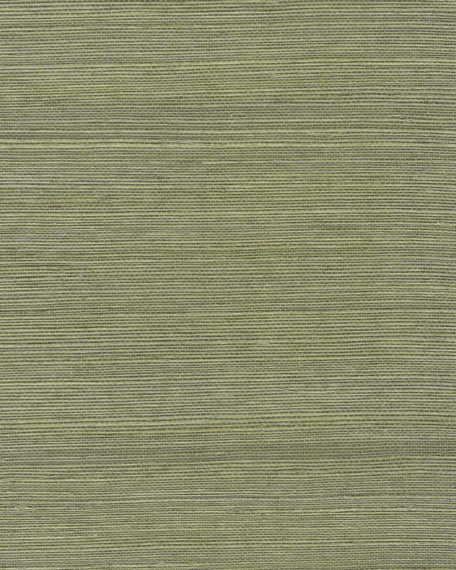 Winfield Thybony CHIYO SISAL MOSS Wallpaper