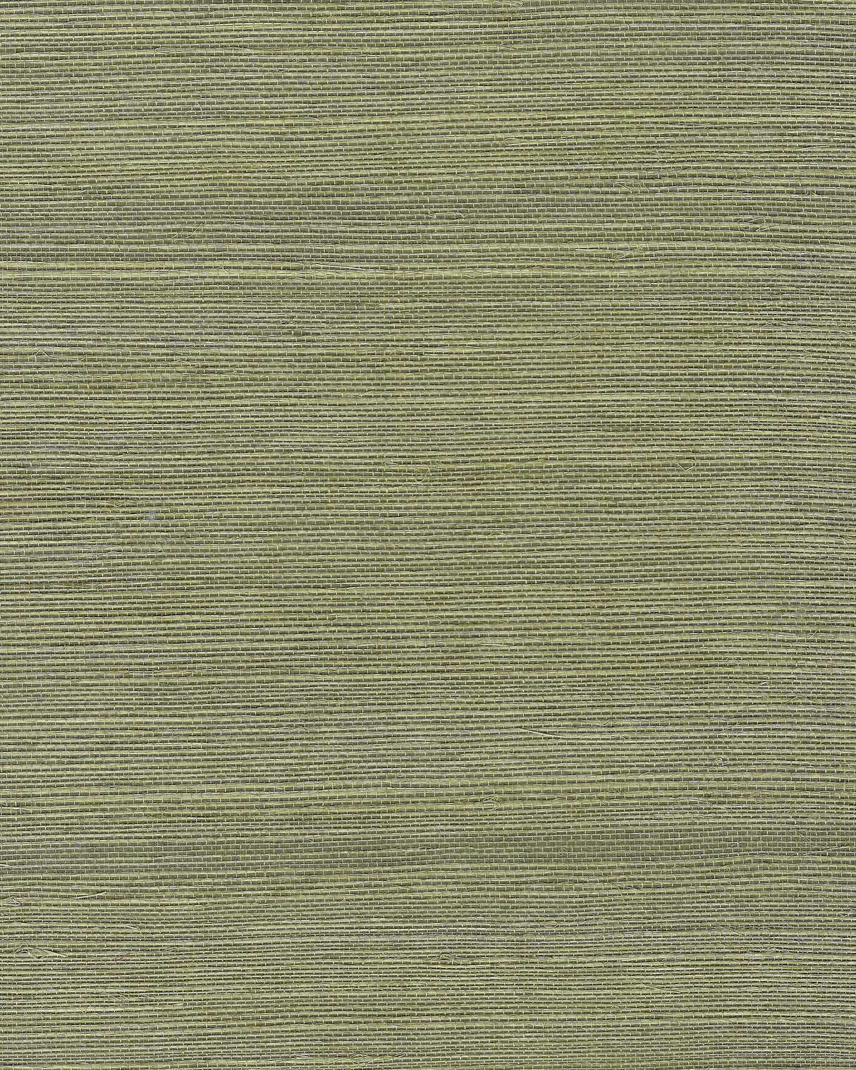 Winfield Thybony CHIYO SISAL MOSS Wallpaper