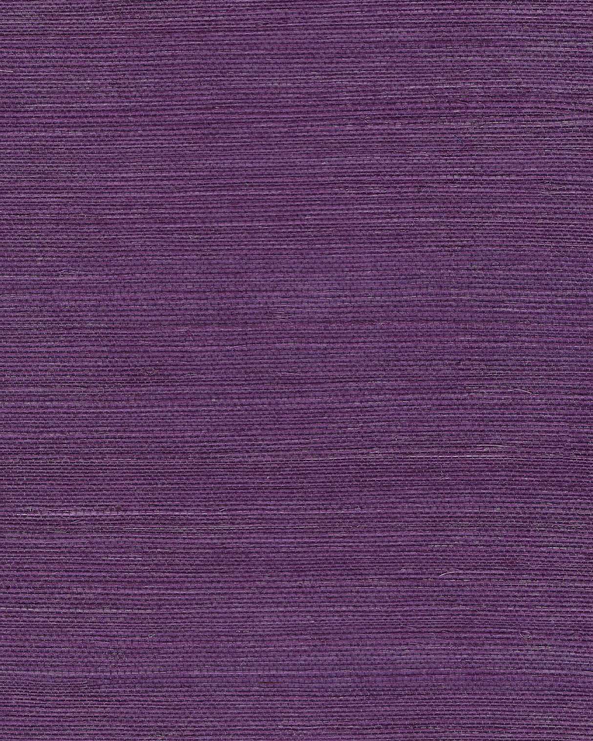 Winfield Thybony CHIYO SISAL PURPLE Wallpaper
