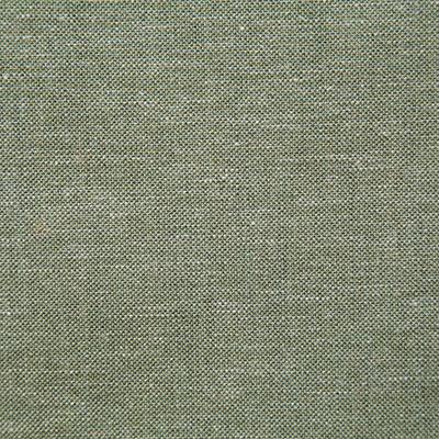 Pindler CHANCE LICHEN Fabric