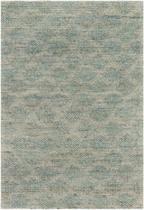 Livabliss Trace TCE-2305 2' x 3' Handmade Rug