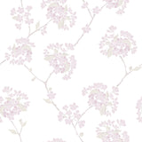 Winfield Thybony WILMA PETAL PINK Wallpaper