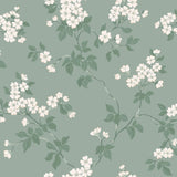 Winfield Thybony BLOMMA ROBIN'S EGG Wallpaper