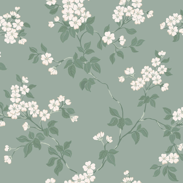 Winfield Thybony BLOMMA ROBIN'S EGG Wallpaper