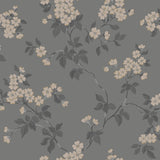 Winfield Thybony BLOMMA ONYX Wallpaper