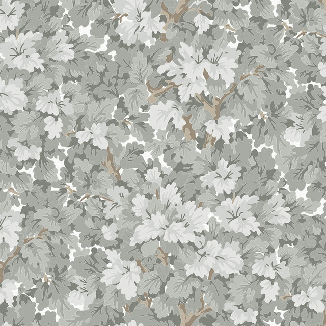 Winfield Thybony WALDEN FOG Wallpaper