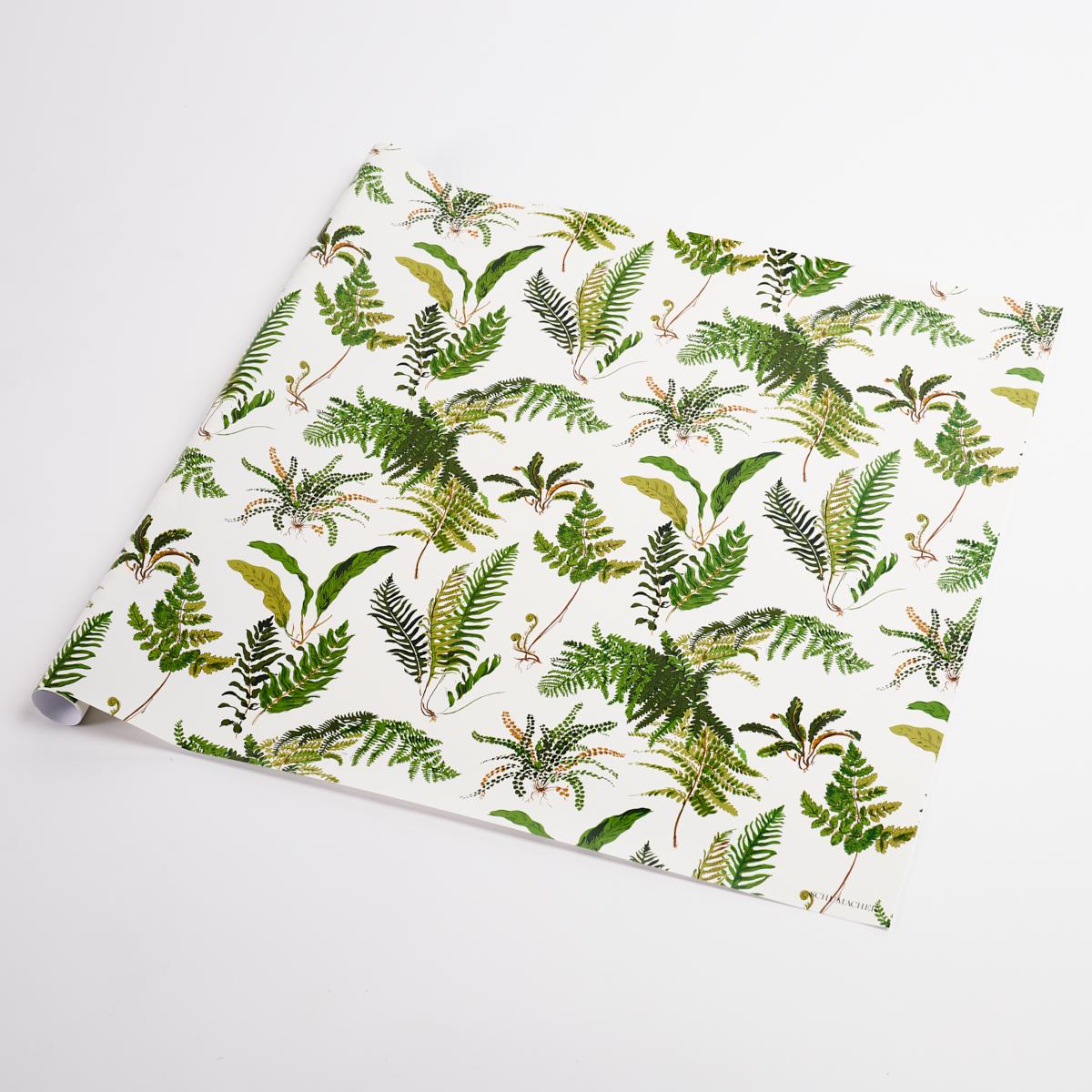 Schumacher Document 37" x 24" Les Fougeres Wrapping Paper