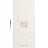 Schumacher Aristelle Warm Silver Wallpaper