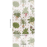 Schumacher Green Grocer Multi Wallpaper