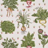 Schumacher Green Grocer Multi Wallpaper