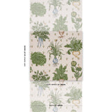 Schumacher Green Grocer Parchment Wallpaper