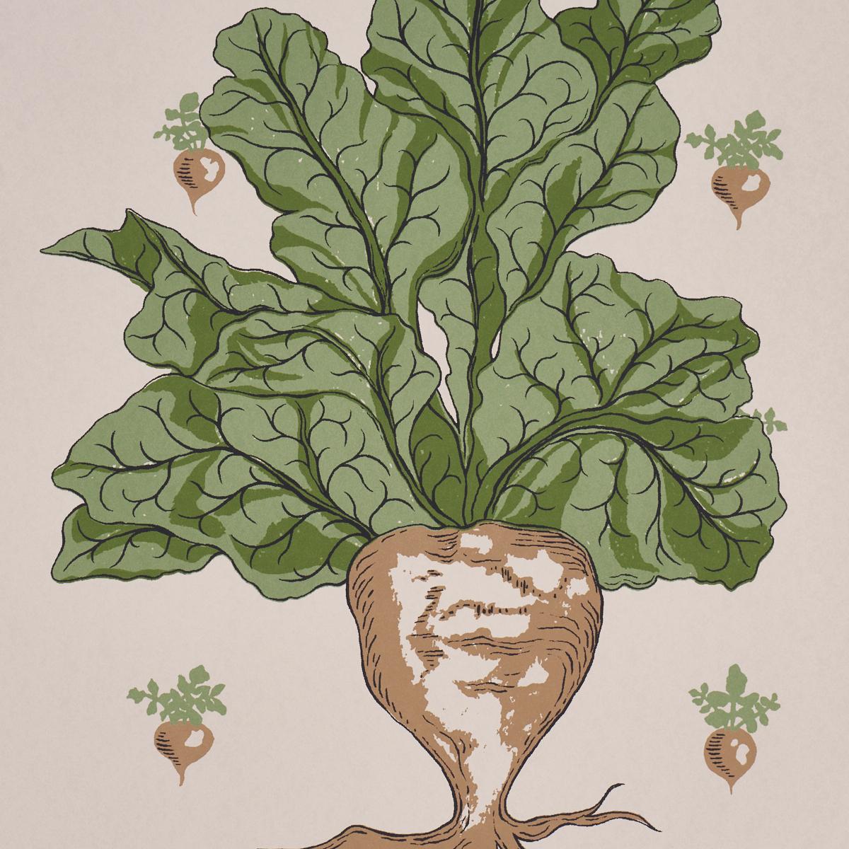 Schumacher Green Grocer Parchment Wallpaper