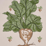 Schumacher Green Grocer Parchment Wallpaper