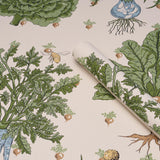Schumacher Green Grocer Parchment Wallpaper