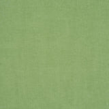 Schumacher Leslie Stonewashed Sheer Leaf Fabric