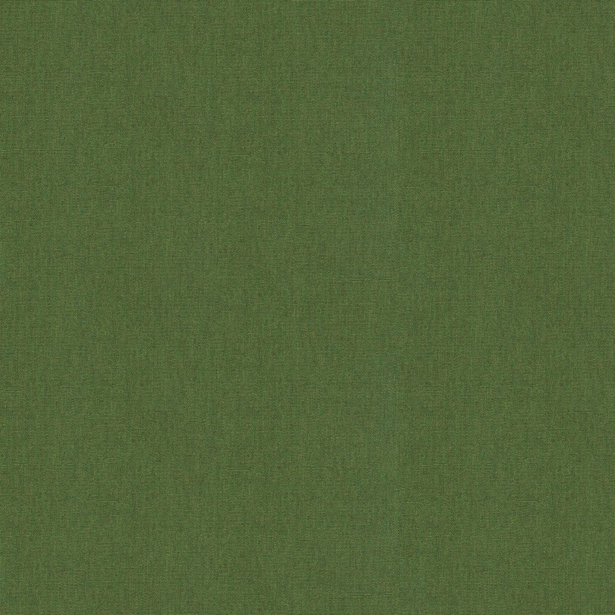 Kravet SOLEIL CANVAS FERN Upholstery Fabric