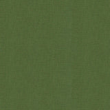 Kravet SOLEIL CANVAS FERN Upholstery Fabric