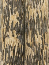 York Gilded Plume Black Wallpaper