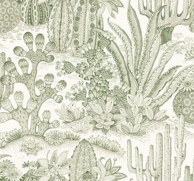 York Lotus Land Cacti Green Wallpaper