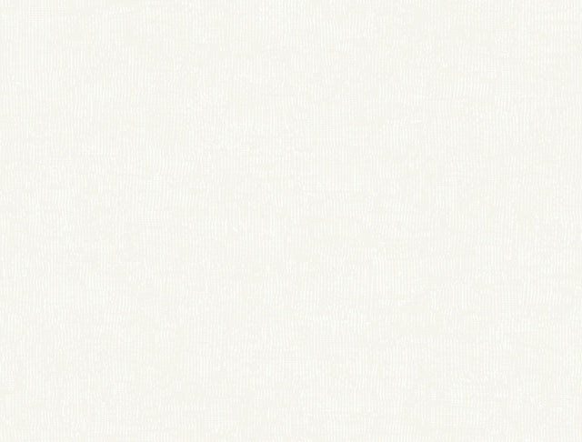 York Trabadillo Plaster White Wallpaper