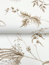 York Floral Lace Neutral Wallpaper