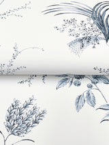 York Floral Lace Blue Wallpaper