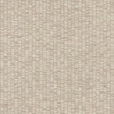 York Lemuria Beige Wallpaper