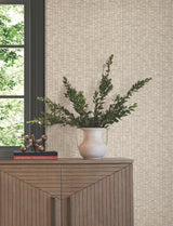 York Lemuria Beige Wallpaper