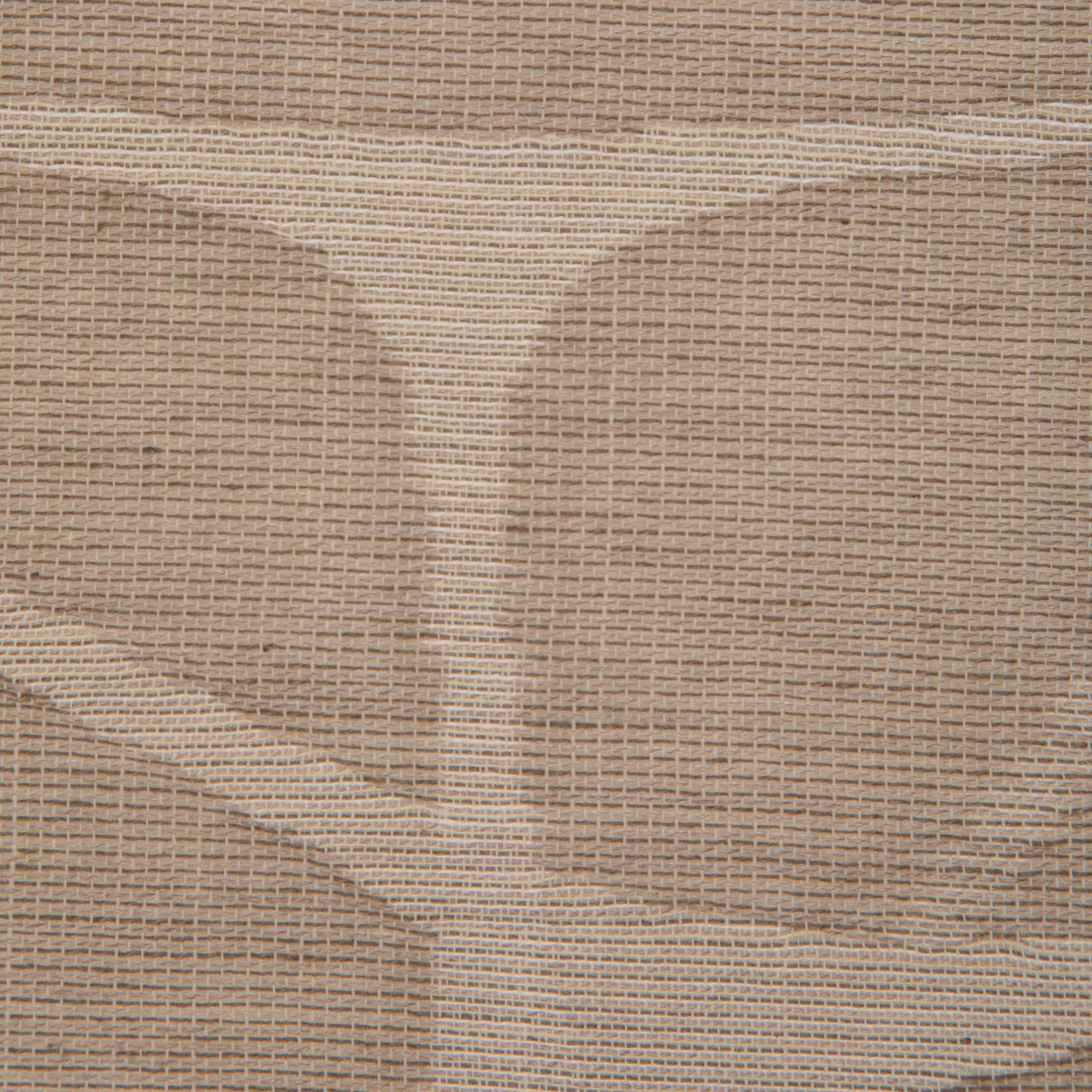 Donghia GIRAFFIA FOSSIL Drapery Fabric