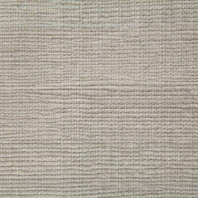 Pindler MATTHEWS PUMICE Fabric