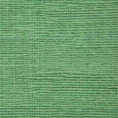 Pindler MATTHEWS KIWI Fabric