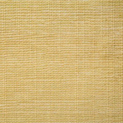 Pindler MATTHEWS BUTTERCUP Fabric