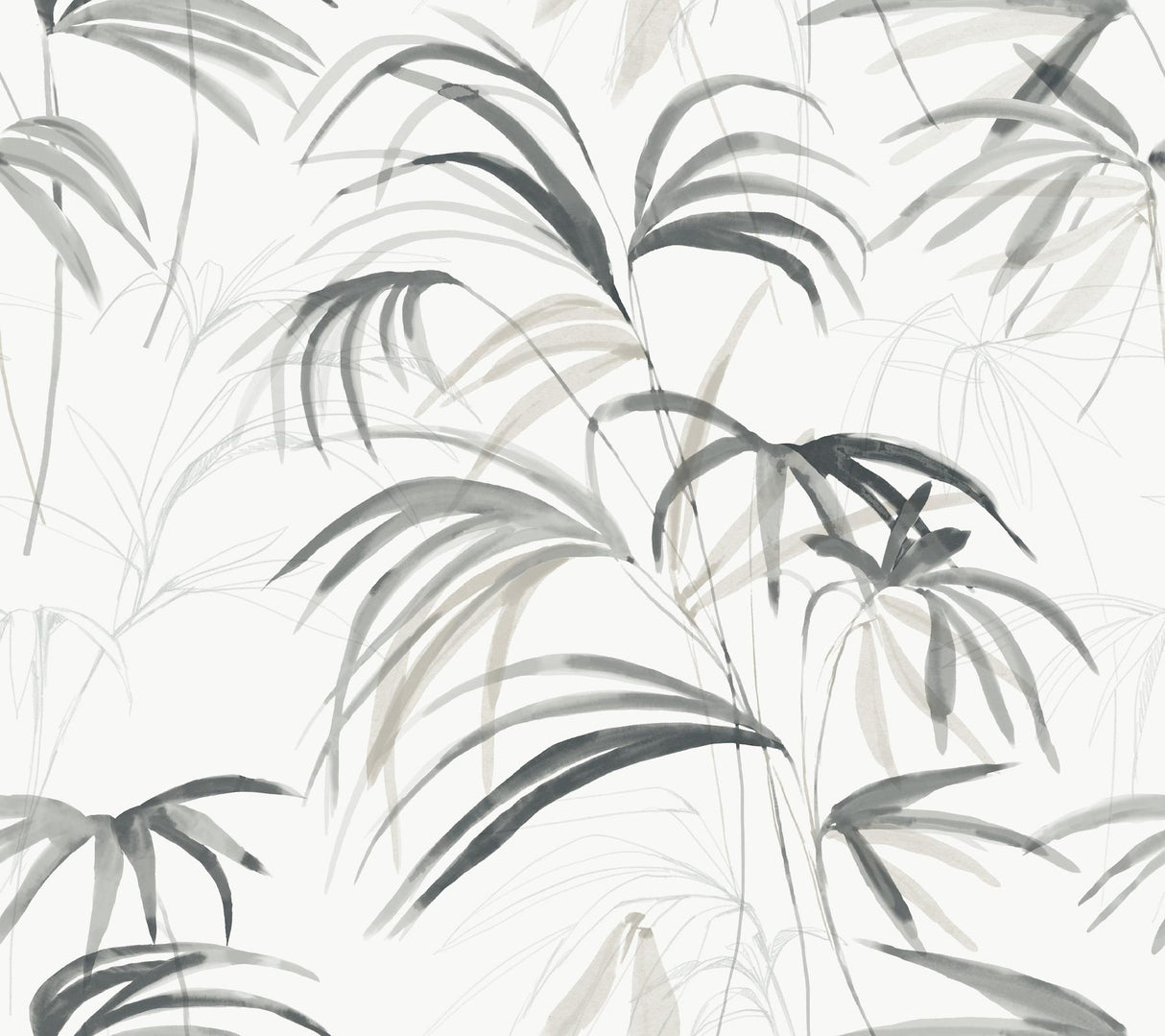 Candice Olson Inky Black Palms Black Wallpaper