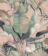 Candice Olson Tropical Coral Cabana Pink Wallpaper